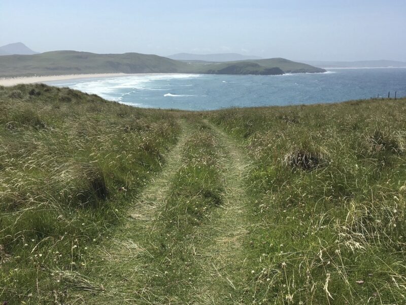 Machair -ancient habitat, new life