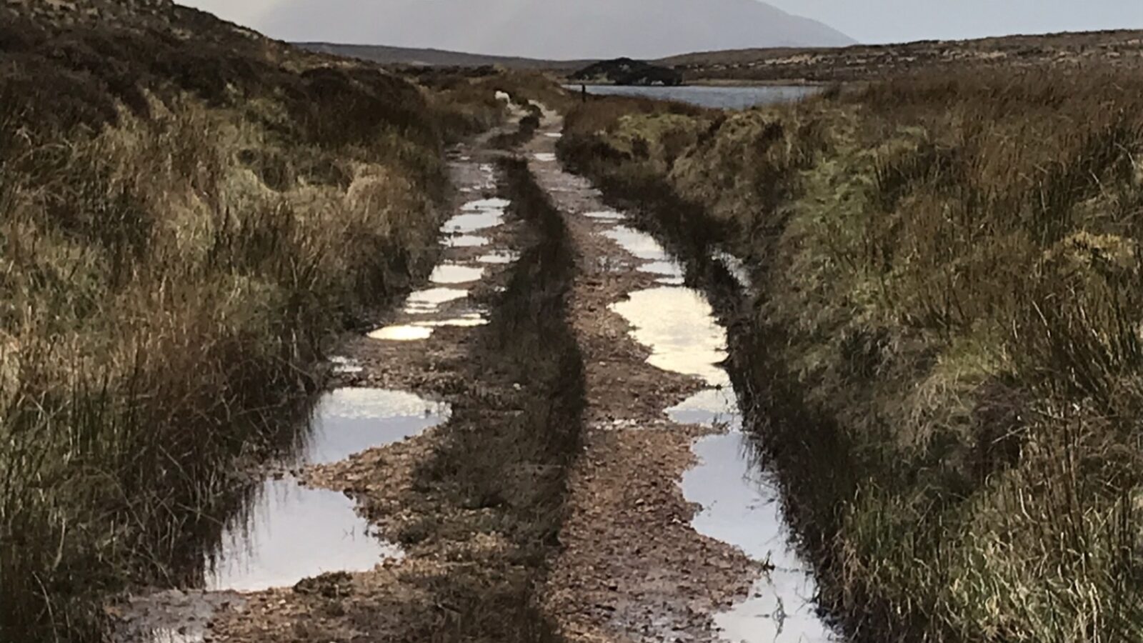 98 F80 F3 E D33 B 419 B 9 A2 F 9 AC8 DE6 BDB2 C